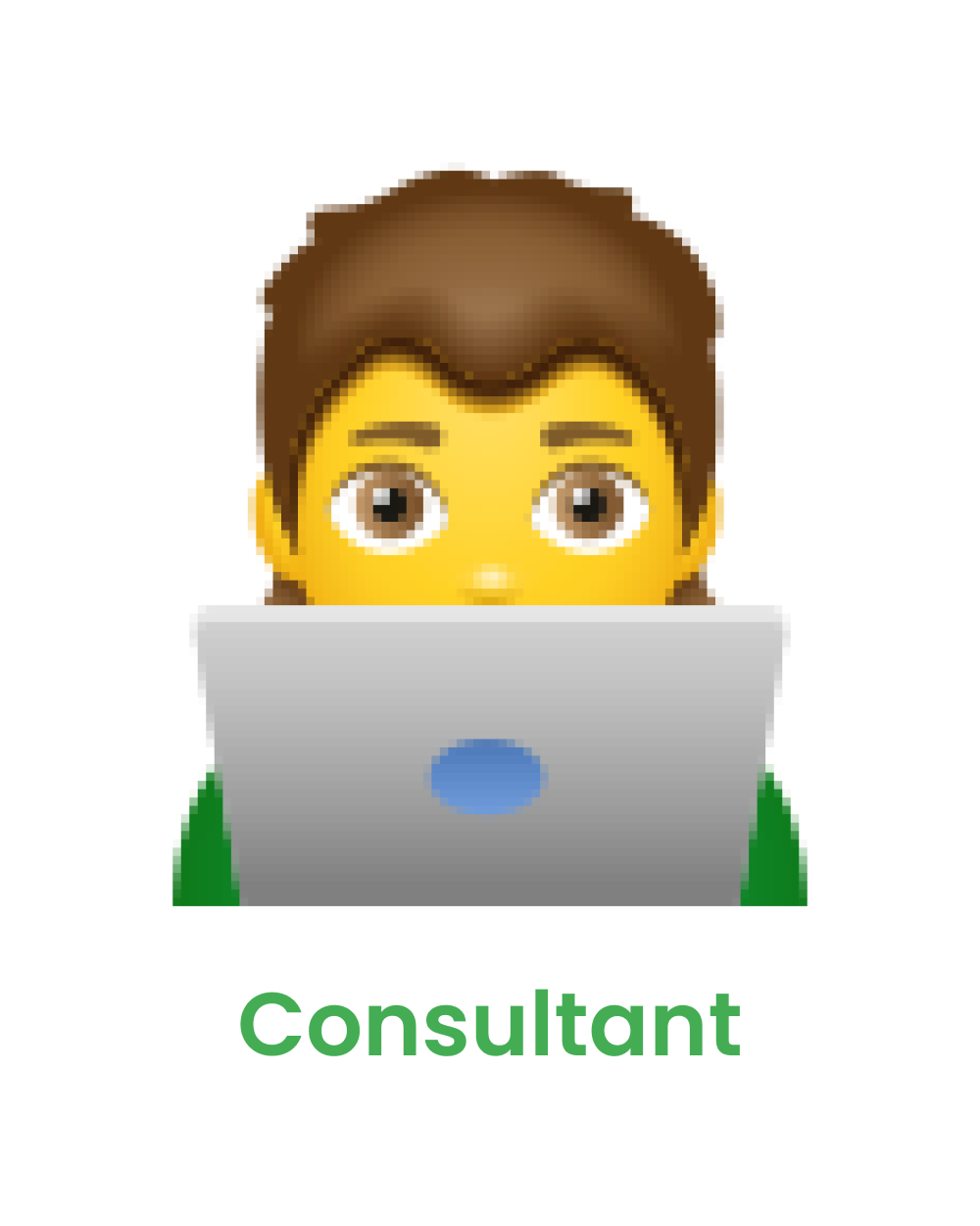 Consultant