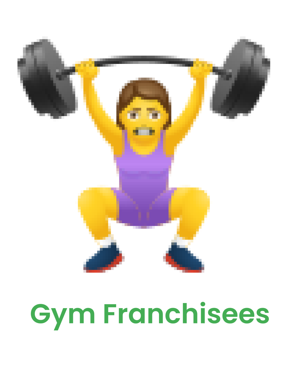 Gym Franchisees